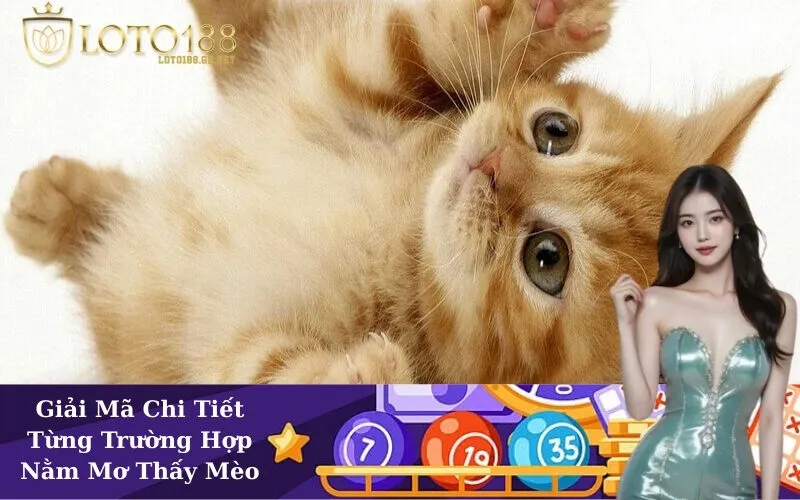 Giải Mã Chi Tiết Từng Trường Hợp Nằm Mơ Thấy Mèo