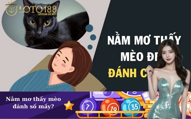 Nằm mơ thấy mèo đánh số mấy?