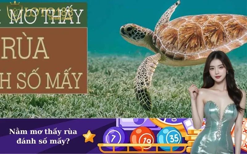 Nằm mơ thấy rùa đánh số mấy?